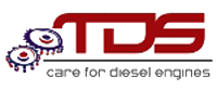 logo TDS